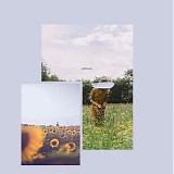 Oliviaway - Sunflowers