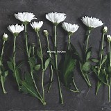 Oliviaway - Without Borders