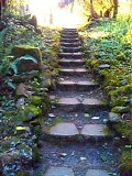 Chronotope Project - In the Footsteps of the Buddha