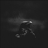 Overscape - L'atmosphÃ¨re Des Oiseaux