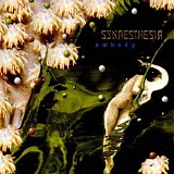 Synaesthesia - Embody