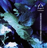 MontanÃ  Lorenzo - Black Ivy