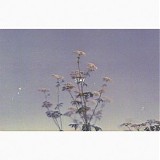Oliviaway - Stay