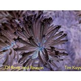 Kays Tim - Of Rime And Reason
