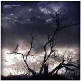 Kirlian Ran - Complex Silence 38