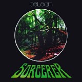 Paladin - Sorcerer