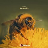 U.O.K. - Summer