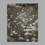 Oliviaway - Soul