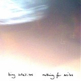 Bing Satellites - Nothing For Miles