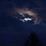 Roos Walter - Nights