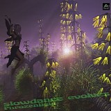 Phrozenlight - Slowdance Evolves