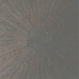 Basinski William & English Lawrence - Selva oscura