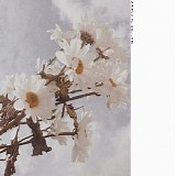 Oliviaway - 5 Days Of Spring