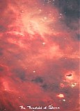 Various artists - The Threshold Of Silence