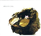 Rich Robert - Ylang