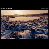 Radio Silence - Frostes