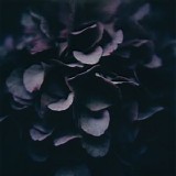 Hotel Neon - Moments