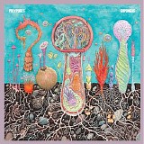 Polypores - Shpongos