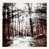 Nagle Paul - Accidental Hermit