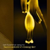 Rosenthal Sam & Jarguna - Sunwashed Evening Fire
