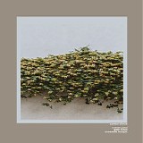 Oliviaway - Summer Silence