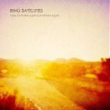 Bing Satellites - How To Make A Person Whole Again