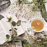 oliviaway - morning