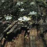 Aglaia - Florealia Nocturna