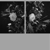 Oliviaway - Absence