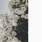 Oliviaway - Peace In The Soul, Like The Rays Of The Sun