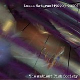 The Ambient Fish Society - Lusus Naturae (190709-2000)
