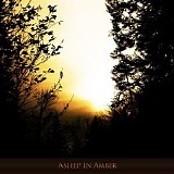 Hilyard - Asleep in Amber