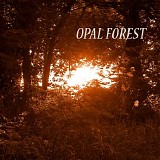 WMRI - Opal Forest