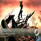 Sotra - Contemplator