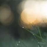 Purl - Stillpoint