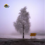 Rayment Colin - Transitional States