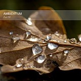Ambientium - Fall