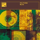 Polypores - Myriad