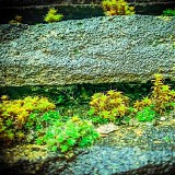 Yorkshire Modular Society - Yms_0050