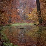 Papen Rob - Autumn Rain (Single)