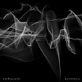 Earlyguard - Synthesis