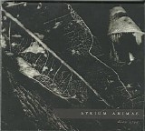 Atrium Animae - Dies Irae