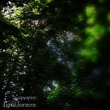 Digital Horizons - Canopies Ep (2013 Remaster)