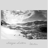 Lingua Lustra - States