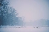 Lawlor Scott - Winter Solitude