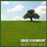 Schombert David - Quiet Life Vol.2