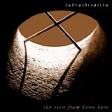 Labrathisattva - The View From Down Here