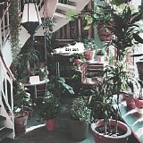 oliviaway - day sun