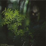 Weiss Tomas - Zauberwald (Sleep Edition)