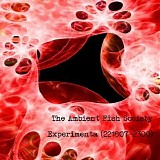 The Ambient Fish Society - Experimenta (221807-?2300)